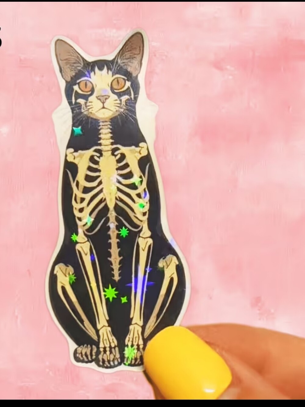 1$ Add On⭐ Skeleton Cat Sparkly Sticker
